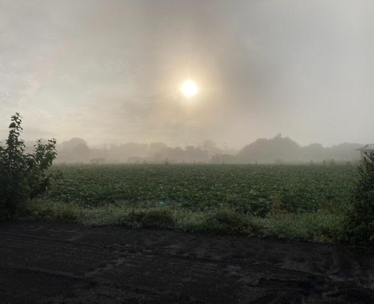 Sunrise - 1
